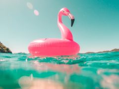 pink flamingo swim ring on body of water in summer